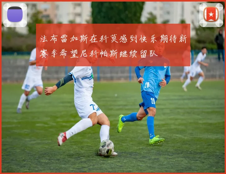 法布雷加斯在科莫感到快乐期待新赛季希望尼科帕斯继续留队